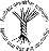 BSV Logo